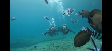 武藤潜水に投稿された画像（2023/6/18）