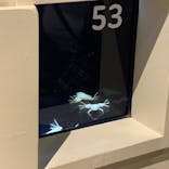 横浜開運水族館 フォーチュンアクアリウムに投稿された画像（2023/6/18）