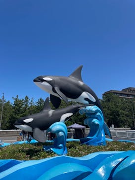 鴨川シーワールドに投稿された画像（2023/6/18）