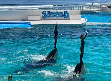 鴨川シーワールドに投稿された画像（2023/6/18）