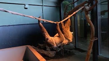 カワスイ 川崎⽔族館に投稿された画像（2023/6/18）