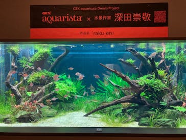 カワスイ 川崎⽔族館に投稿された画像（2023/6/18）