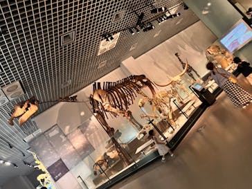 国立科学博物館に投稿された画像（2023/6/18）