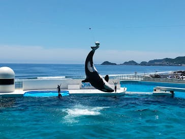 鴨川シーワールドに投稿された画像（2023/6/18）