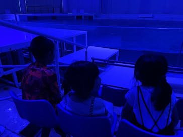 アクアワールド茨城県大洗水族館に投稿された画像（2023/6/18）