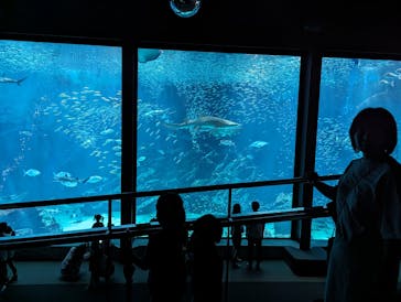 マリンワールド海の中道に投稿された画像（2023/6/18）