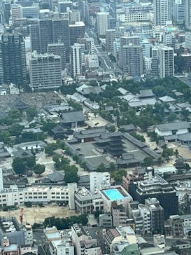 ハルカス300(展望台)に投稿された画像（2023/6/18）