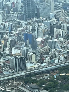 ハルカス300(展望台)に投稿された画像（2023/6/18）