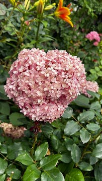 横浜イングリッシュガーデンに投稿された画像（2023/6/18）