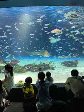 サンシャイン水族館に投稿された画像（2023/6/18）