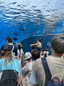 サンシャイン水族館に投稿された画像（2023/6/18）