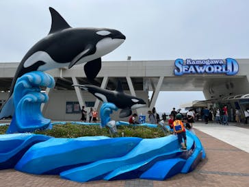 鴨川シーワールドに投稿された画像（2023/6/18）