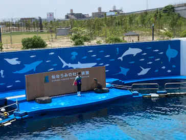 仙台うみの杜水族館に投稿された画像（2023/6/18）