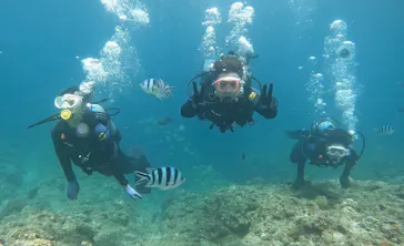 武藤潜水に投稿された画像（2023/6/18）