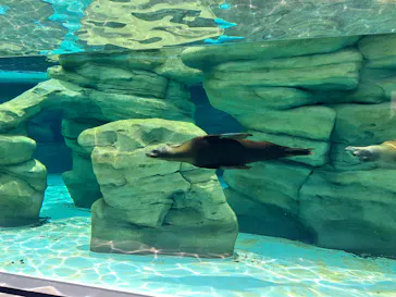 天王寺動物園に投稿された画像（2023/6/18）