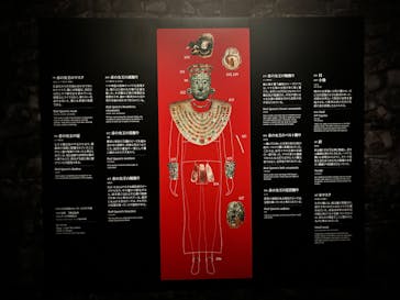 特別展「古代メキシコーマヤ、アステカ、テオティワカン」に投稿された画像（2023/6/18）