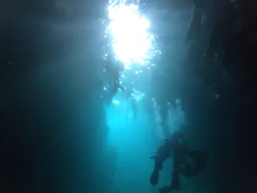 武藤潜水に投稿された画像（2023/6/18）