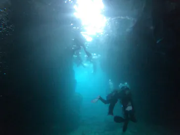 武藤潜水に投稿された画像（2023/6/18）