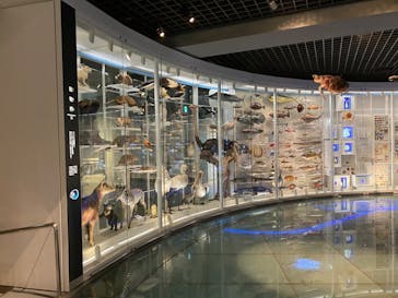 特別展「恐竜博2023」に投稿された画像（2023/4/14）