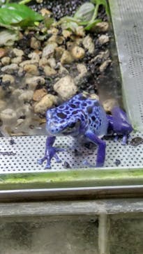 カワスイ 川崎⽔族館に投稿された画像（2023/6/18）