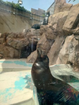 サンシャイン水族館に投稿された画像（2023/6/18）