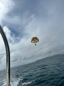 ブルーシーサーに投稿された画像（2023/6/18）