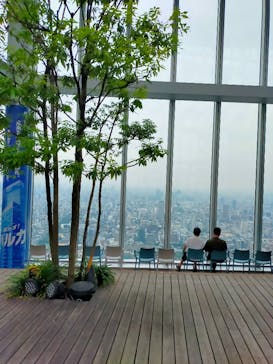 ハルカス300(展望台)に投稿された画像（2023/6/18）