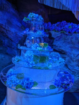 新江ノ島水族館に投稿された画像（2023/6/18）