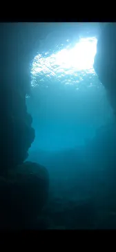 武藤潜水に投稿された画像（2023/6/18）