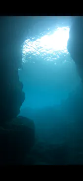 武藤潜水に投稿された画像（2023/6/18）