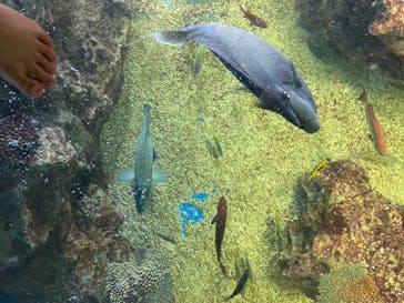 越前松島水族館に投稿された画像（2023/6/18）