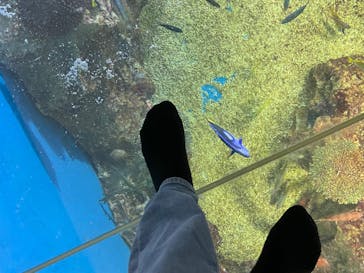 越前松島水族館に投稿された画像（2023/6/18）