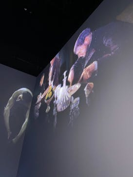 Immersive Museum OSAKA 2025に投稿された画像（2023/6/18）