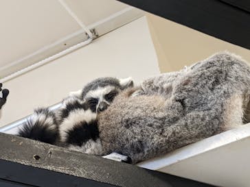 アニタッチみなとみらいに投稿された画像（2023/6/18）