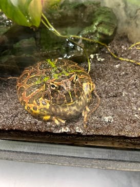 サンシャイン水族館に投稿された画像（2023/6/18）