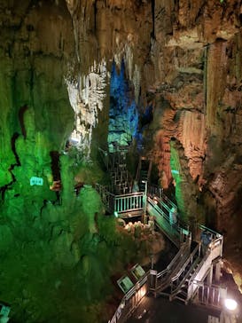 あぶくま洞に投稿された画像（2023/6/18）