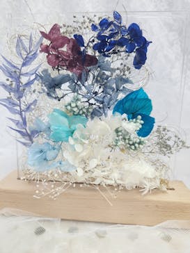 ずこうしつ〜sugamo〜に投稿された画像（2023/6/18）