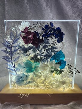 ずこうしつ〜sugamo〜に投稿された画像（2023/6/18）