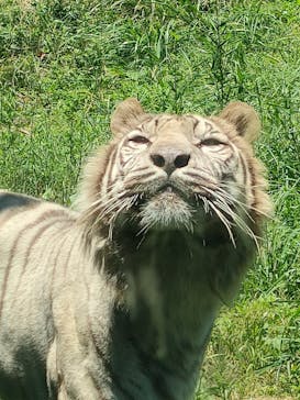 伊豆アニマルキングダムに投稿された画像（2023/6/18）