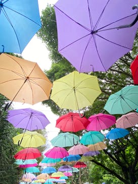 ニューヨークランプミュージアム＆フラワーガーデンに投稿された画像（2023/6/18）