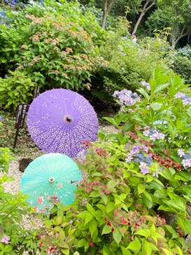 ニューヨークランプミュージアム＆フラワーガーデンに投稿された画像（2023/6/18）