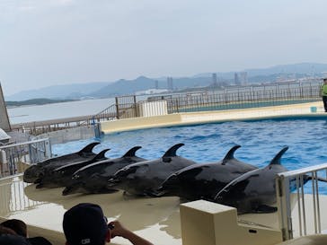 マリンワールド海の中道に投稿された画像（2023/6/18）