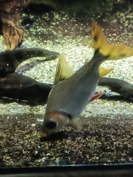 サンシャイン水族館に投稿された画像（2023/6/18）