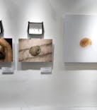 ひらかたパークに投稿された画像（2023/6/18）