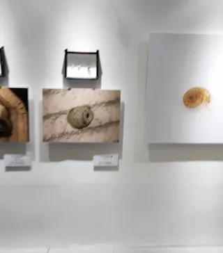 ひらかたパークに投稿された画像（2023/6/18）