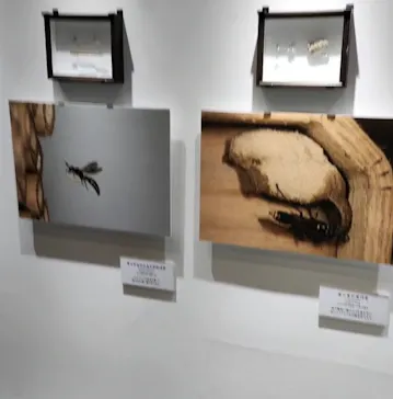 ひらかたパークに投稿された画像（2023/6/18）