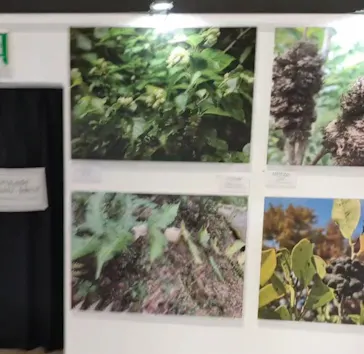 ひらかたパークに投稿された画像（2023/6/18）