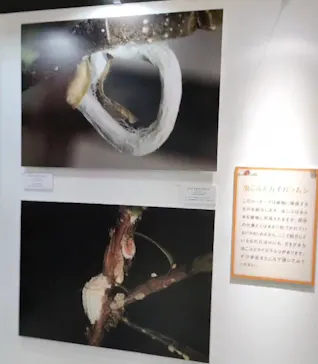 ひらかたパークに投稿された画像（2023/6/18）