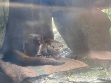 マリンワールド海の中道に投稿された画像（2023/6/18）