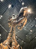 特別展「恐竜博2023」に投稿された画像（2023/6/18）